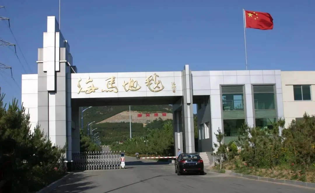 1742958164911425.jpg 1742958159007.jpg